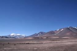 Chile 2007 08 Teil III 064